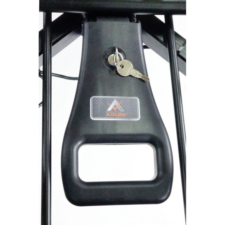 Aguri Fahrradtr&auml;ger Active Bike - E-Bike