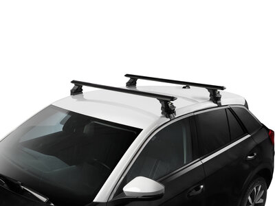 Green Valley Dachtr&auml;ger Renault Talisman 4-t&uuml;rig Limousine 2016 - 2022