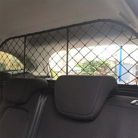 Hundegitter speziell f&uuml;r Citroen C1 (mit Kopfst&uuml;tze hinten)