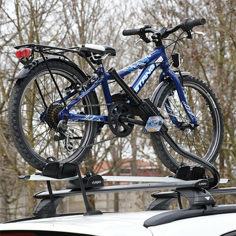Farad Pesio Fahrradtr&auml;ger f&uuml;r 1 Fahrrad auf dem Dach &ndash; geeignet f&uuml;r E-Bike
