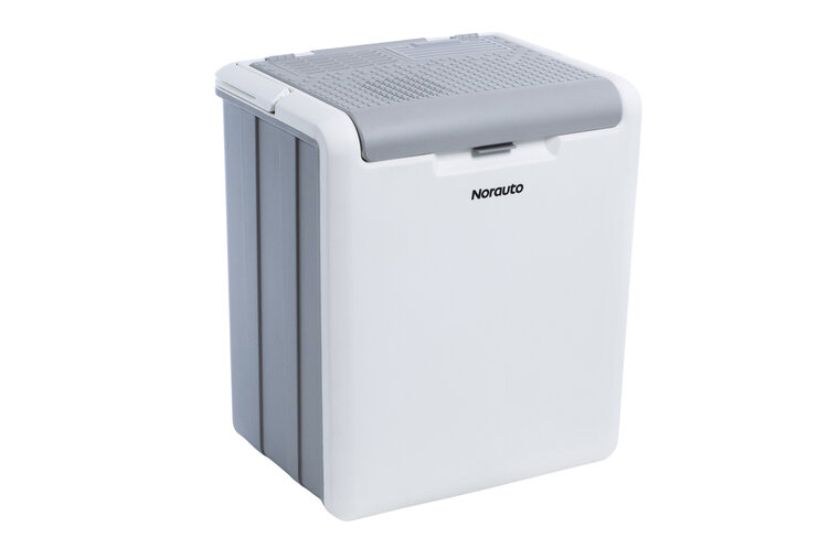 K&uuml;hlbox 12V/230V - 25 liter 