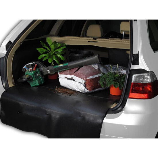 Azuga Kofferraumschutz Citroen DS3 ab 2010