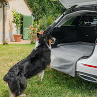 Hundematte f&uuml;r die Heckklappe &ndash; mit Sto&szlig;stangenschutz