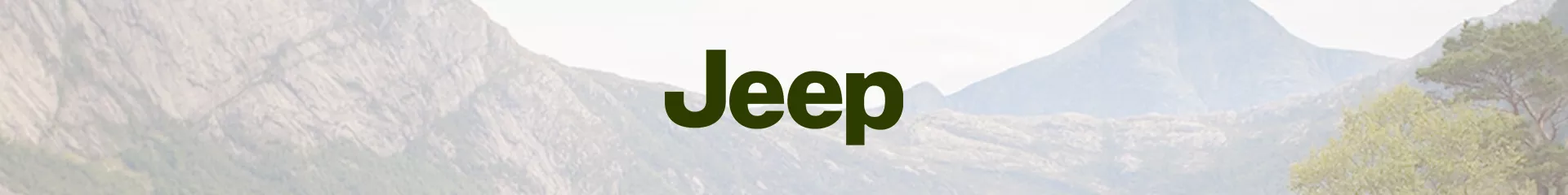 Felgenschlösser für Jeep günstig bestellen