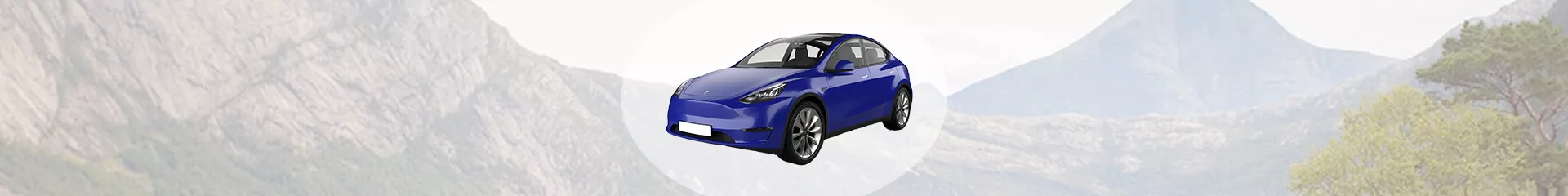 Schneeketten mit automatischer Straffung, Reifentraktionskette für Tesla  Model Y/ Model 3/ Model X (2 Stück) - Model Y - Ein Stil