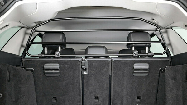 Hundegitter im Auto vorgeschrieben?